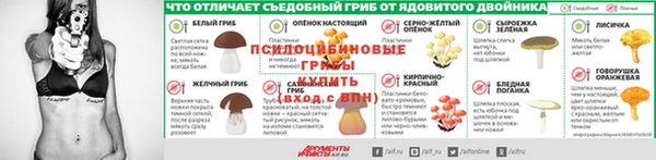 стаф Зеленодольск
